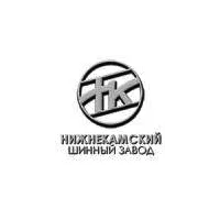 ПАО «Нижнекамскшина» ПАО «Нижнекамскшина»