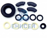 Ремкомплект ТНВД (Д-240,Д-65)   (2109,9001)(1306)
